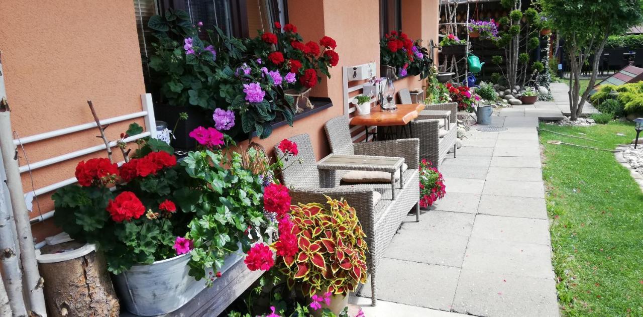 Apartmany U Jirousu Rokytnice nad Jizerou Extérieur photo