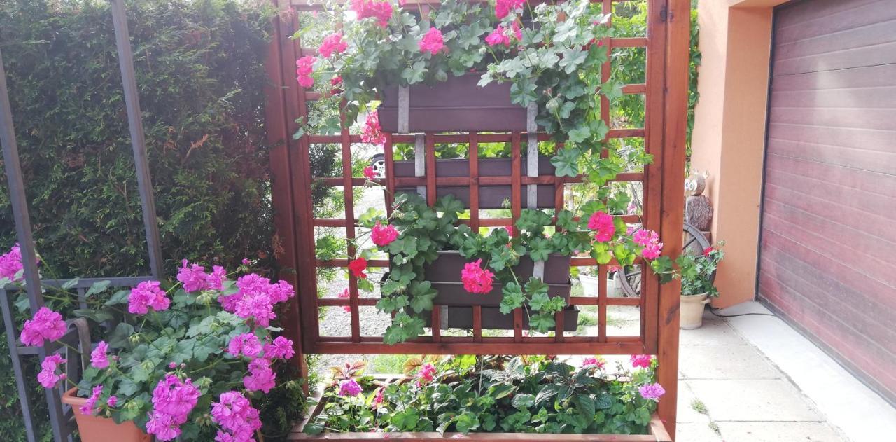 Apartmany U Jirousu Rokytnice nad Jizerou Extérieur photo